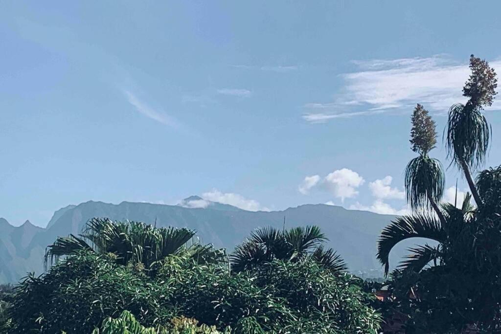 La Caze Amoremieve Pour Un Sejour Cozy A St Pierre Saint Pierre Exteriér fotografie