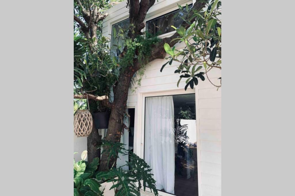 La Caze Amoremieve Pour Un Sejour Cozy A St Pierre Saint Pierre Exteriér fotografie